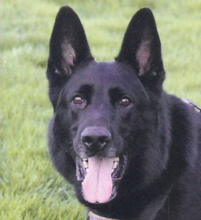 045FCDF5-7CCD-4714-80C4-1BCDDB2DE283