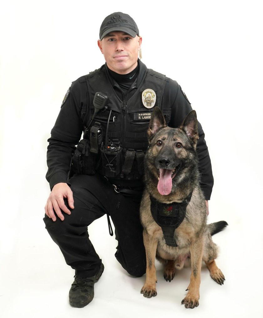 Bellevue Police End Violent Crime Spree – Bellevue Beat Blog