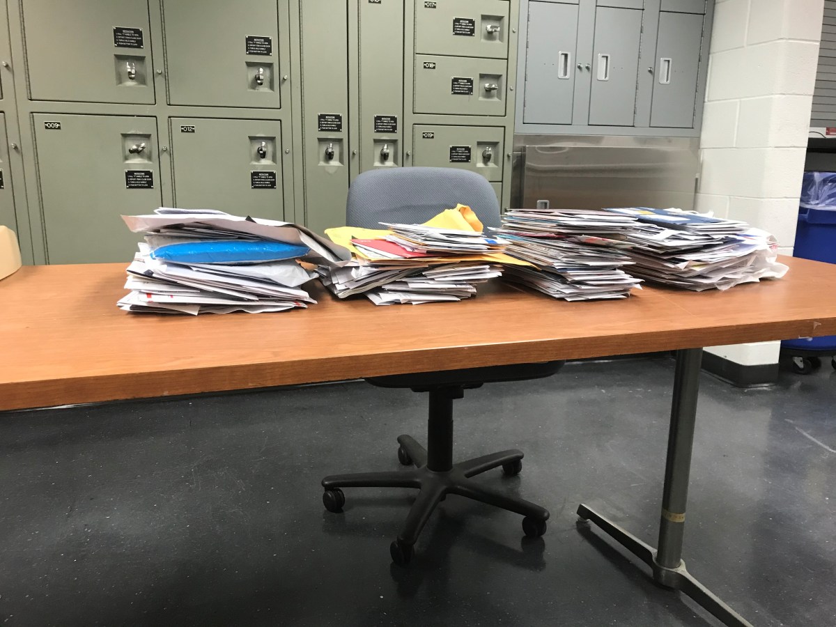 Prolific mail thief&nbsp;busted