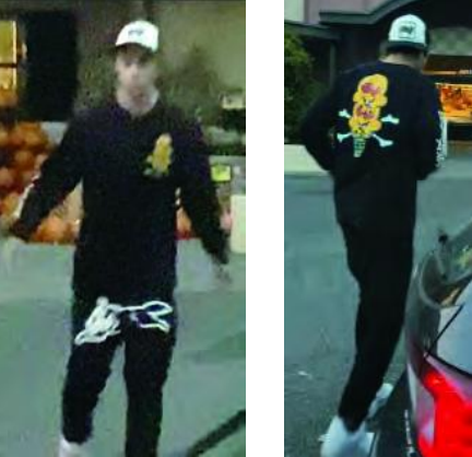 Detectives halt burglary/theft ring – Bellevue Beat Blog