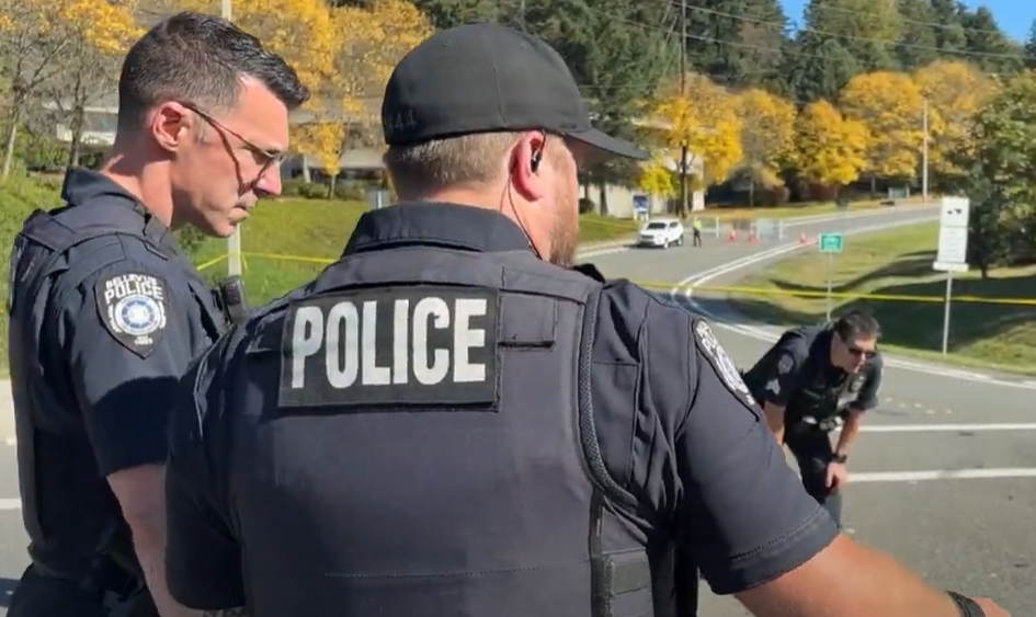 Bellevue Police arrest juvenile for suspicion of DUI, vehicular ...